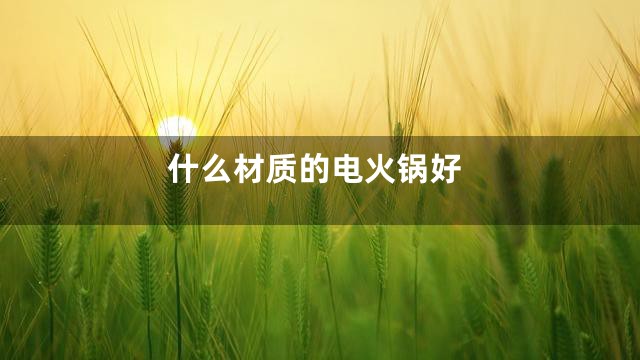 什么材质的电火锅好