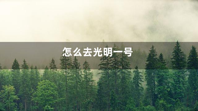 怎么去光明一号