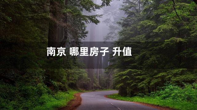 南京 哪里房子 升值