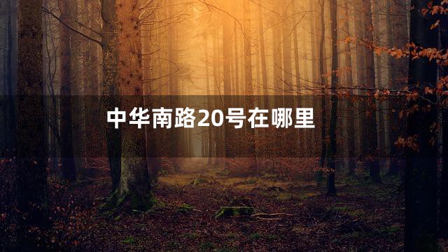 中华南路20号在哪里