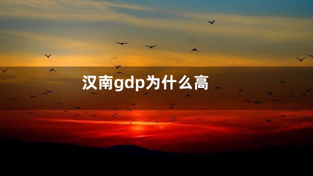 汉南gdp为什么高
