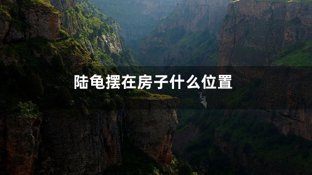陆龟摆在房子什么位置