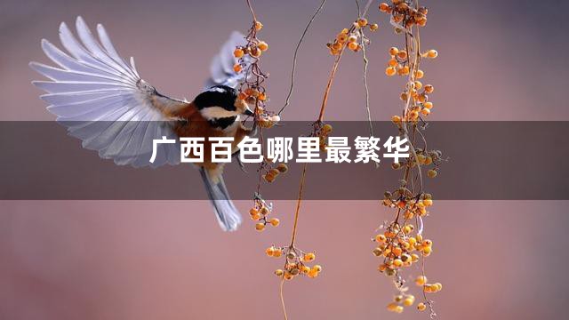 广西百色哪里最繁华