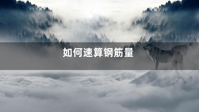 如何速算钢筋量