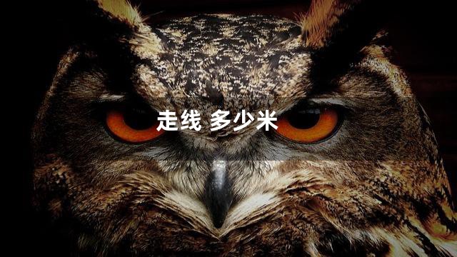 走线 多少米