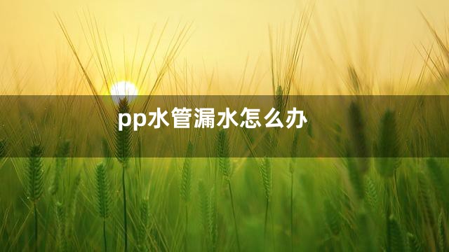 pp水管漏水怎么办