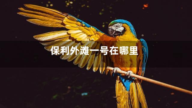 保利外滩一号在哪里