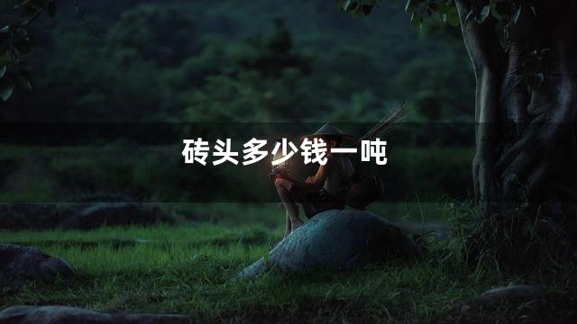 砖头多少钱一吨