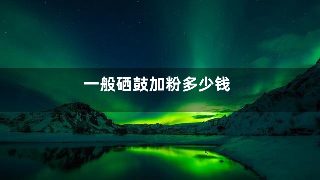 一般硒鼓加粉多少钱