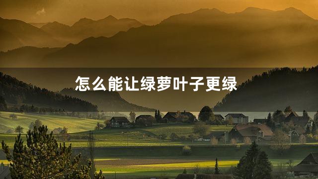 怎么能让绿萝叶子更绿
