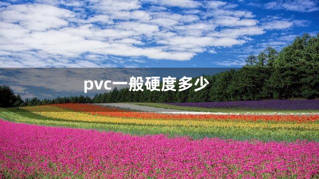 pvc一般硬度多少