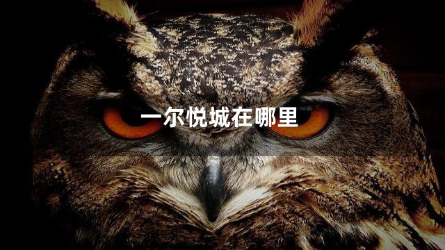 一尔悦城在哪里