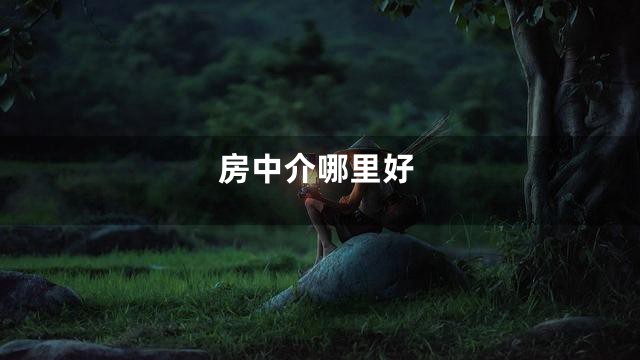 房中介哪里好