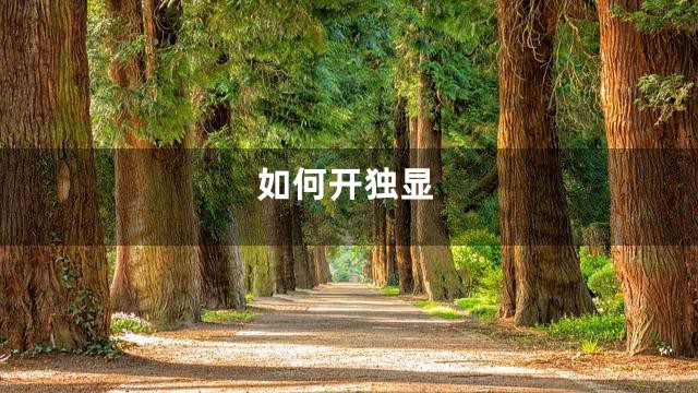 如何开独显