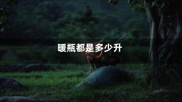 暖瓶都是多少升