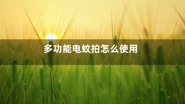 多功能电蚊拍怎么使用