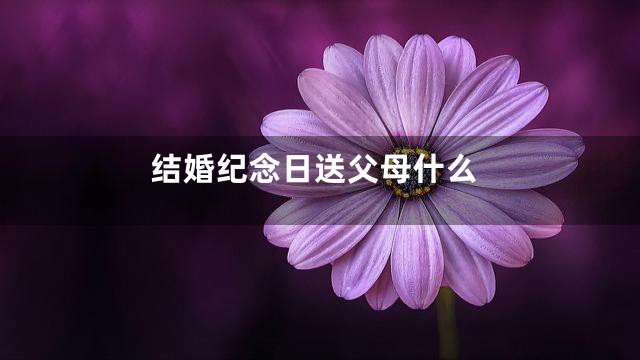 结婚纪念日送父母什么