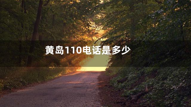黄岛110电话是多少