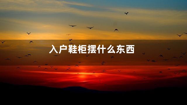 入户鞋柜摆什么东西