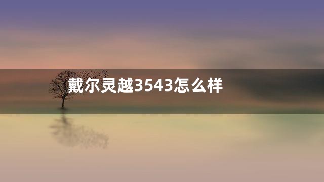 戴尔灵越3543怎么样