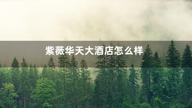 紫薇华天大酒店怎么样