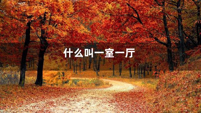 什么叫一室一厅