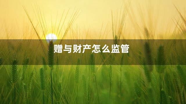 赠与财产怎么监管