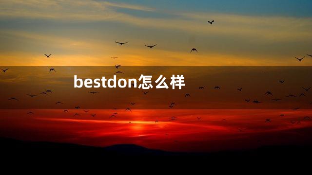 bestdon怎么样