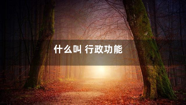 什么叫 行政功能