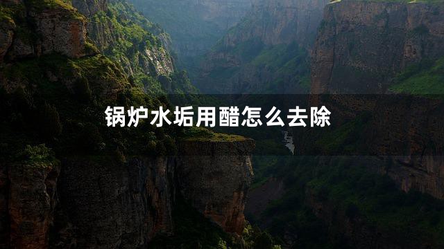 锅炉水垢用醋怎么去除