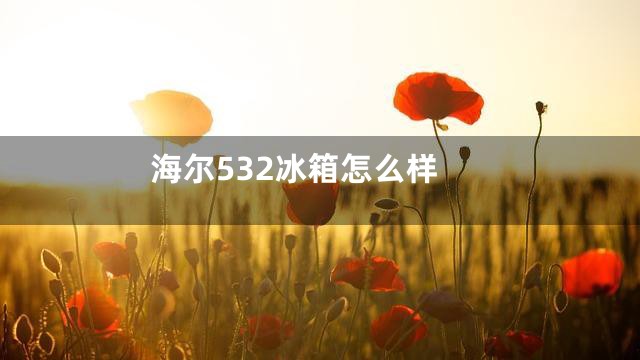 海尔532冰箱怎么样