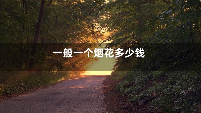 一般一个烟花多少钱