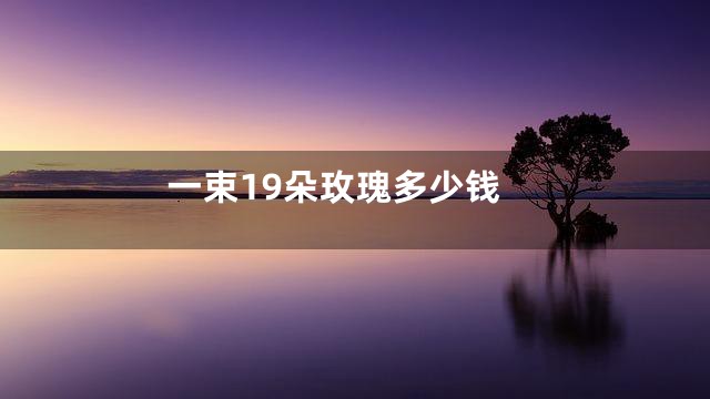 一束19朵玫瑰多少钱