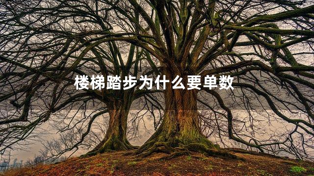 楼梯踏步为什么要单数