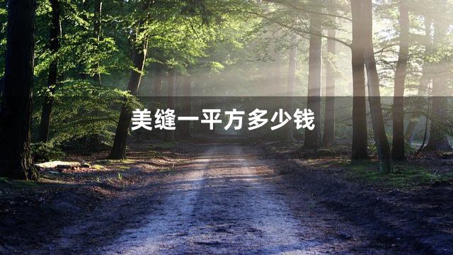 美缝一平方多少钱
