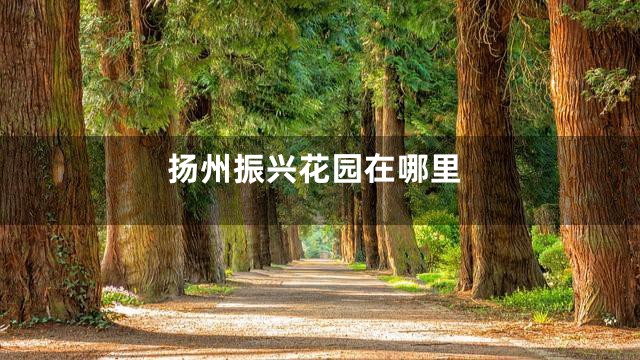 扬州振兴花园在哪里