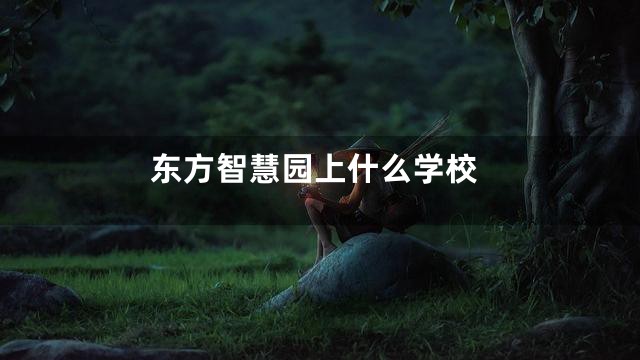 东方智慧园上什么学校