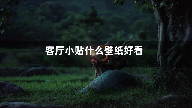 客厅小贴什么壁纸好看