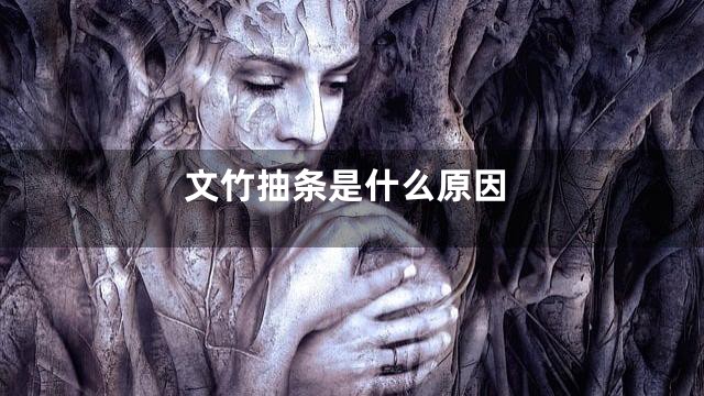 文竹抽条是什么原因