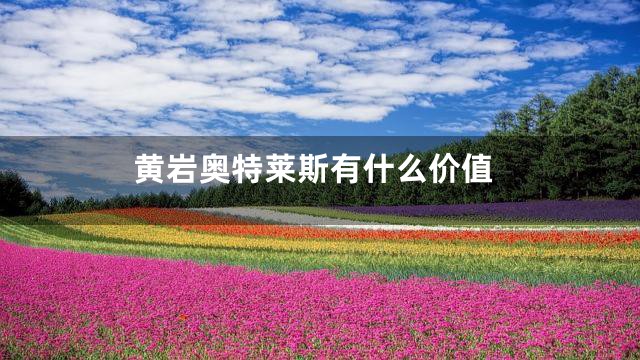 黄岩奥特莱斯有什么价值