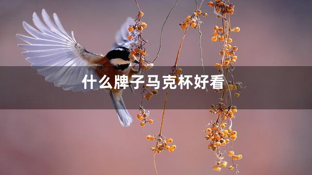 什么牌子马克杯好看