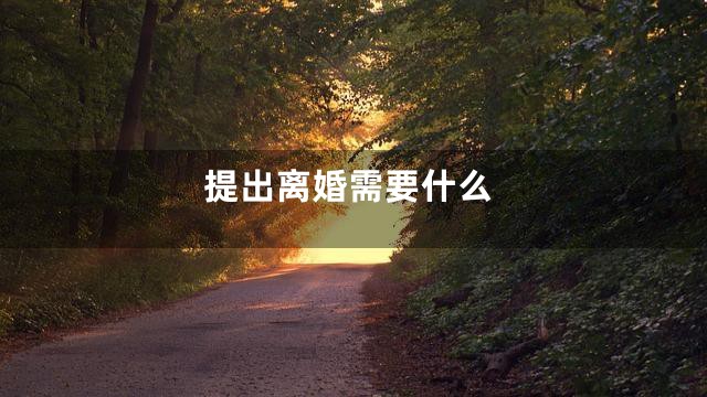 提出离婚需要什么