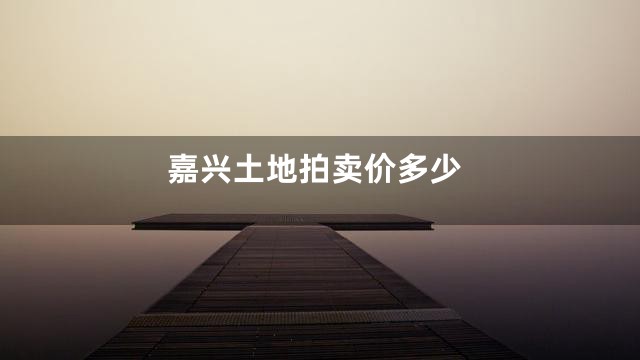 嘉兴土地拍卖价多少