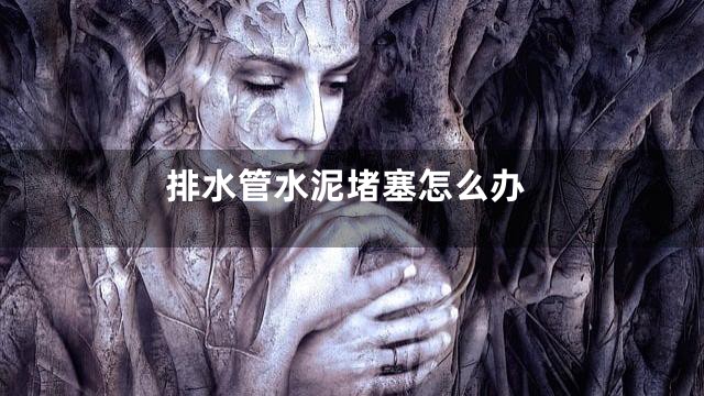 排水管水泥堵塞怎么办
