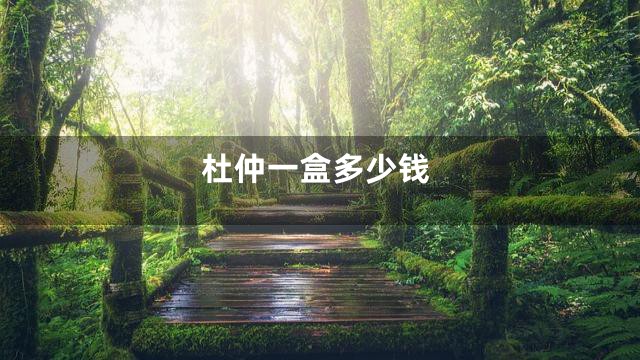 杜仲一盒多少钱