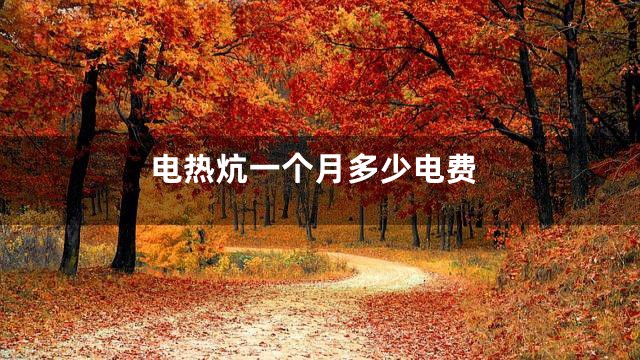 电热炕一个月多少电费