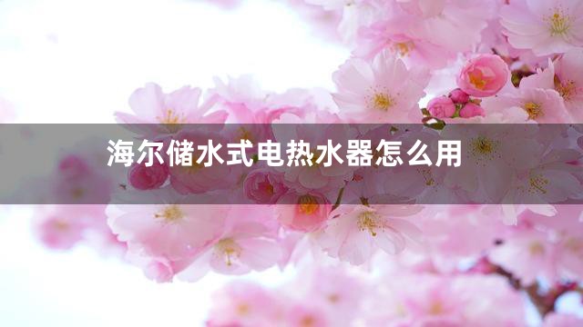 海尔储水式电热水器怎么用