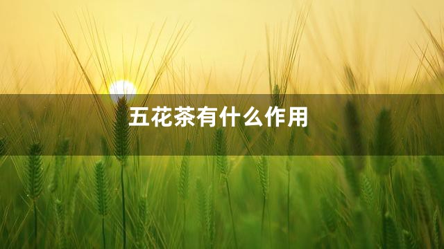 五花茶有什么作用