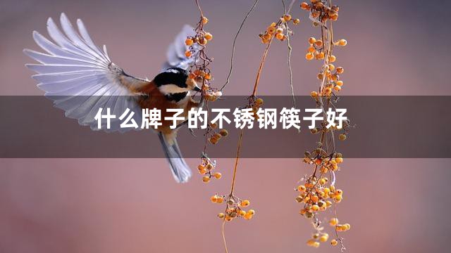 什么牌子的不锈钢筷子好