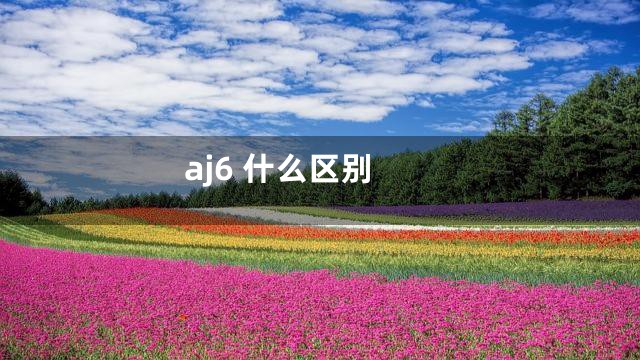 aj6 什么区别